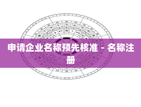 申请企业名称预先核准 - 名称注册
