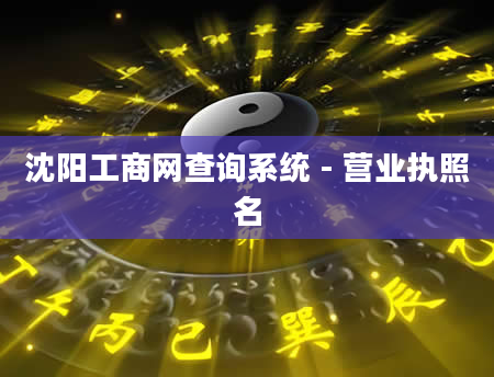 沈阳工商网查询系统 - 营业执照名