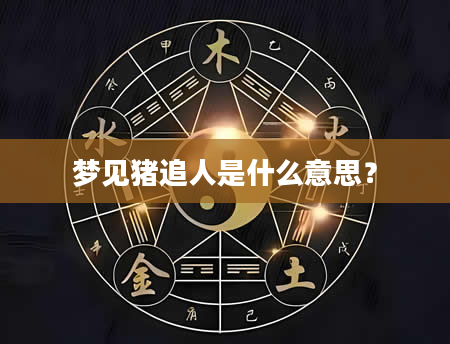梦见猪追人是什么意思?