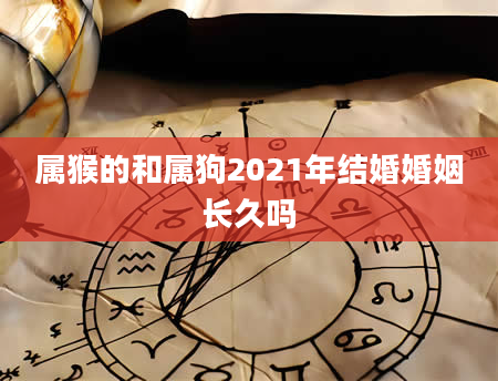 属猴的和属狗2021年结婚婚姻长久吗