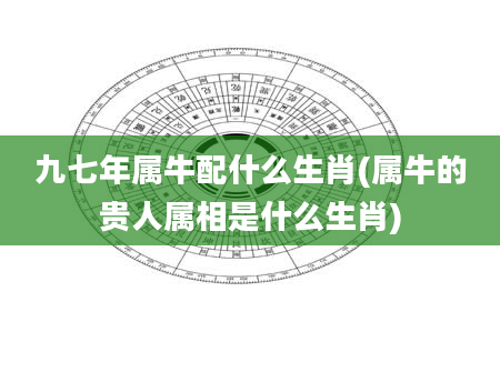 九七年属牛配什么生肖(属牛的贵人属相是什么生肖)