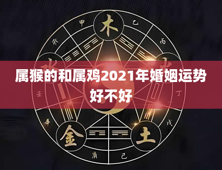 属猴的和属鸡2021年婚姻运势好不好