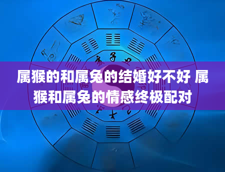 属猴的和属兔的结婚好不好 属猴和属兔的情感终极配对