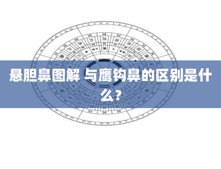 悬胆鼻图解 与鹰钩鼻的区别是什么?