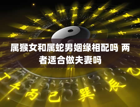 属猴女和属蛇男姻缘相配吗 两者适合做夫妻吗