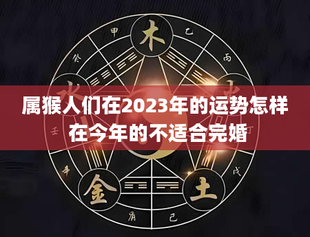 属猴人们在2023年的运势怎样 在今年的不适合完婚