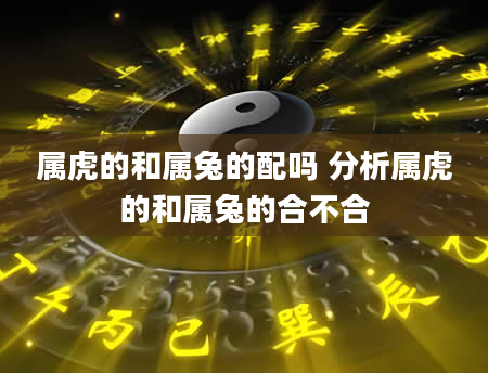 属虎的和属兔的配吗 分析属虎的和属兔的合不合