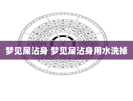 梦见屎沾身 梦见屎沾身用水洗掉