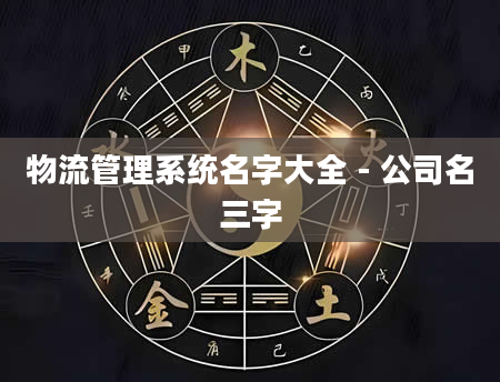 物流管理系统名字大全 - 公司名三字