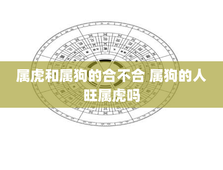 属虎和属狗的合不合 属狗的人旺属虎吗