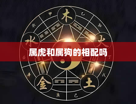 属虎和属狗的相配吗