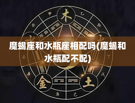 魔蝎座和水瓶座相配吗(魔蝎和水瓶配不配)