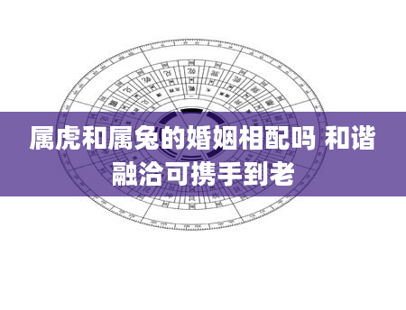 属虎和属兔的婚姻相配吗 和谐融洽可携手到老