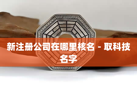 新注册公司在哪里核名 - 取科技名字