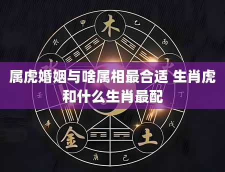 属虎婚姻与啥属相最合适 生肖虎和什么生肖最配