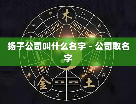 扬子公司叫什么名字 - 公司取名字
