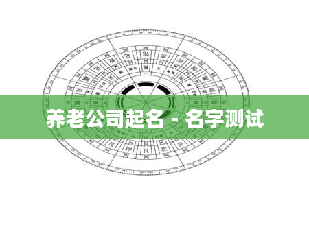 养老公司起名 - 名字测试