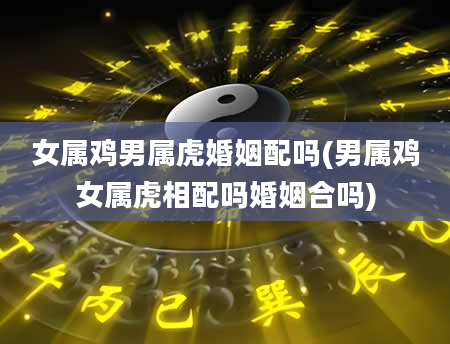 女属鸡男属虎婚姻配吗(男属鸡女属虎相配吗婚姻合吗)