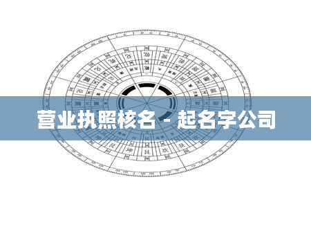 营业执照核名 - 起名字公司