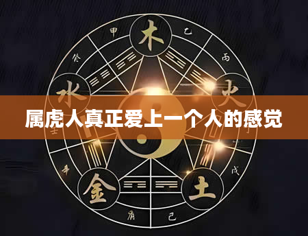属虎人真正爱上一个人的感觉