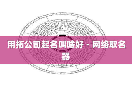 用拓公司起名叫啥好 - 网络取名器