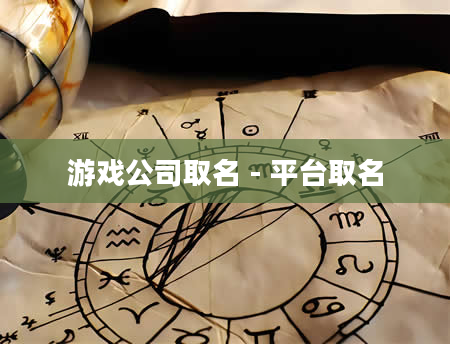游戏公司取名 - 平台取名