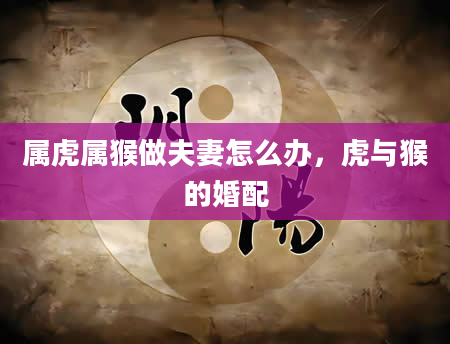 属虎属猴做夫妻怎么办,虎与猴的婚配