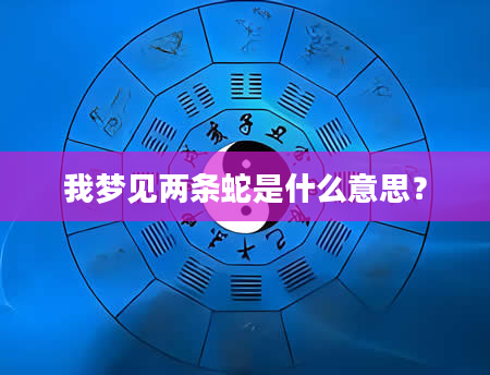 我梦见两条蛇是什么意思?