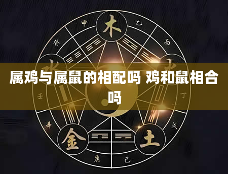 属鸡与属鼠的相配吗 鸡和鼠相合吗