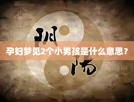 孕妇梦见2个小男孩是什么意思?