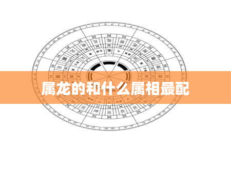 属龙的和什么属相最配
