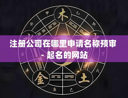注册公司在哪里申请名称预审 - 起名的网站