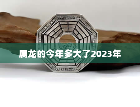 属龙的今年多大了2023年
