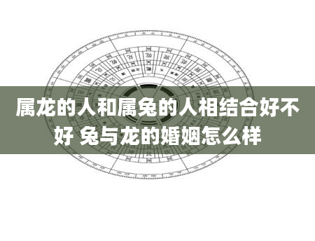 属龙的人和属兔的人相结合好不好 兔与龙的婚姻怎么样