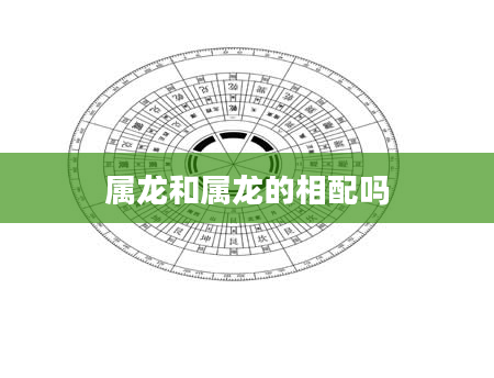 属龙和属龙的相配吗