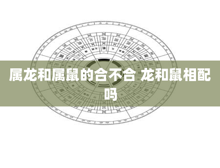 属龙和属鼠的合不合 龙和鼠相配吗