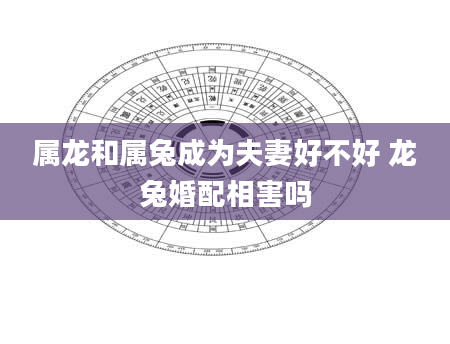 属龙和属兔成为夫妻好不好 龙兔婚配相害吗