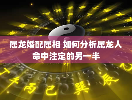 属龙婚配属相 如何分析属龙人命中注定的另一半