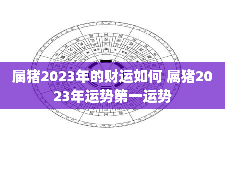 属猪2023年的财运如何 属猪2023年运势第一运势