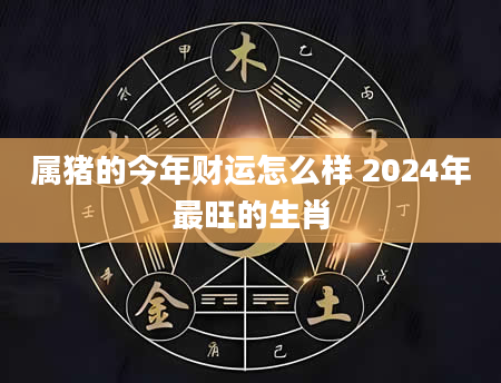 属猪的今年财运怎么样 2024年最旺的生肖
