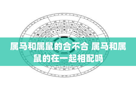 属马和属鼠的合不合 属马和属鼠的在一起相配吗