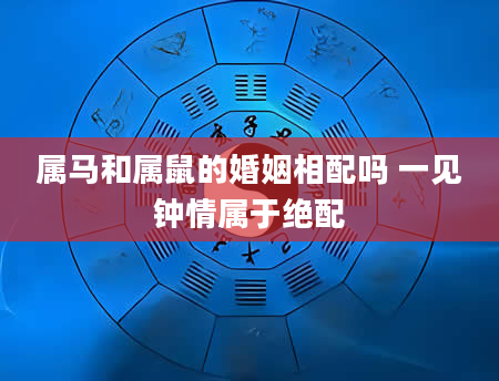 属马和属鼠的婚姻相配吗 一见钟情属于绝配