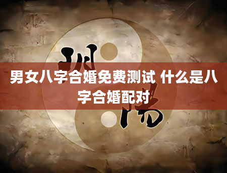 男女八字合婚免费测试 什么是八字合婚配对
