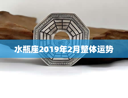 水瓶座2019年2月整体运势