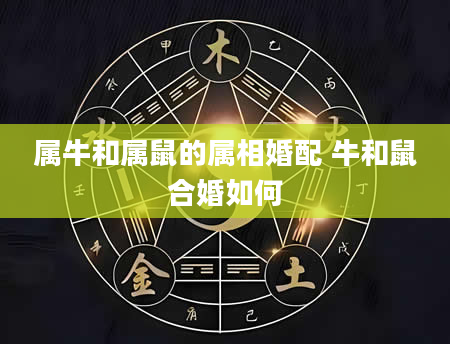 属牛和属鼠的属相婚配 牛和鼠合婚如何
