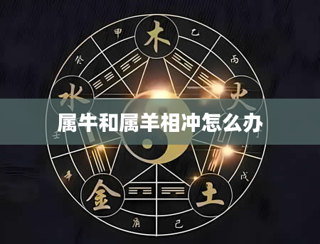 属牛和属羊相冲怎么办