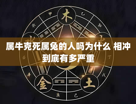 属牛克死属兔的人吗为什么 相冲到底有多严重