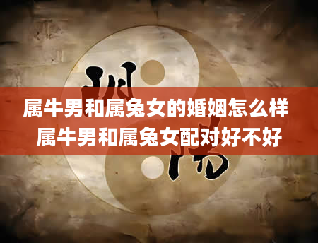 属牛男和属兔女的婚姻怎么样 属牛男和属兔女配对好不好