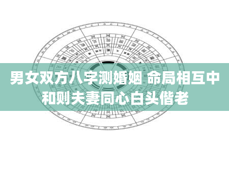 男女双方八字测婚姻 命局相互中和则夫妻同心白头偕老