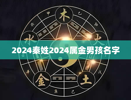 2024秦姓2024属金男孩名字